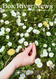 Box River News May 2024